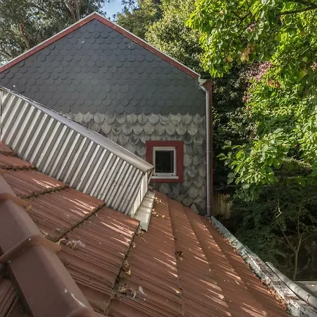 Apartment Tripas-coracao, Breiner Greenhouse